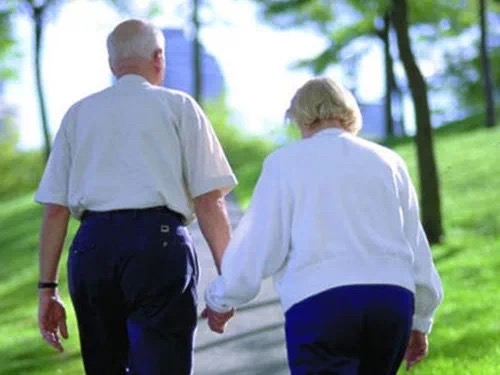 新葡的京集团350vip8888(中国)有限公司官网